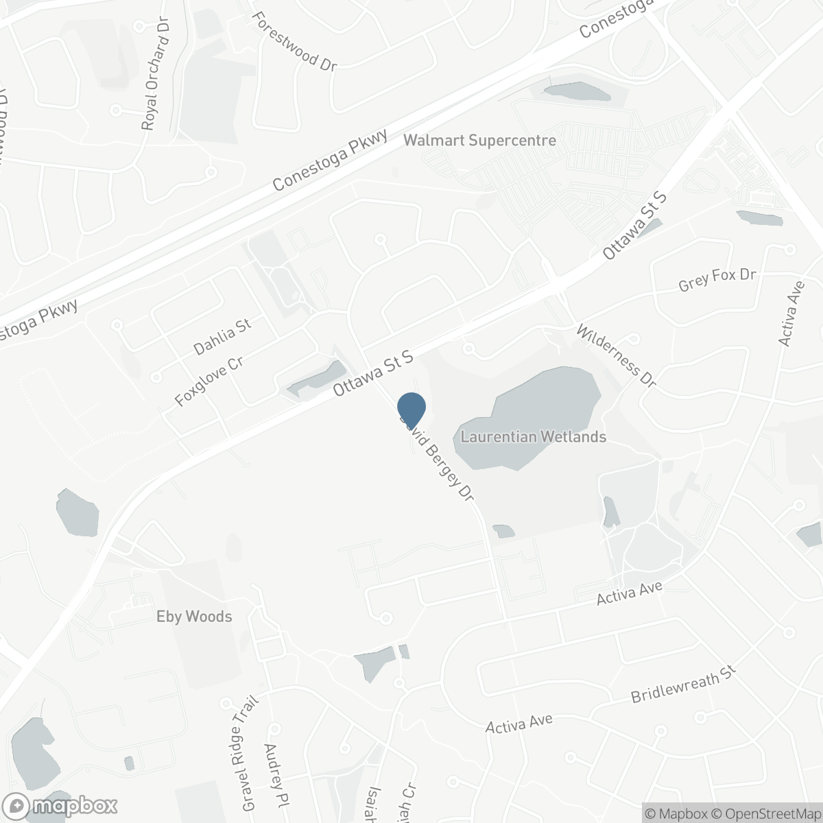 38 DAVID BERGEY Drive, Kitchener, Ontario N2E 0B1